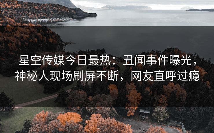 星空传媒今日最热：丑闻事件曝光，神秘人现场刷屏不断，网友直呼过瘾