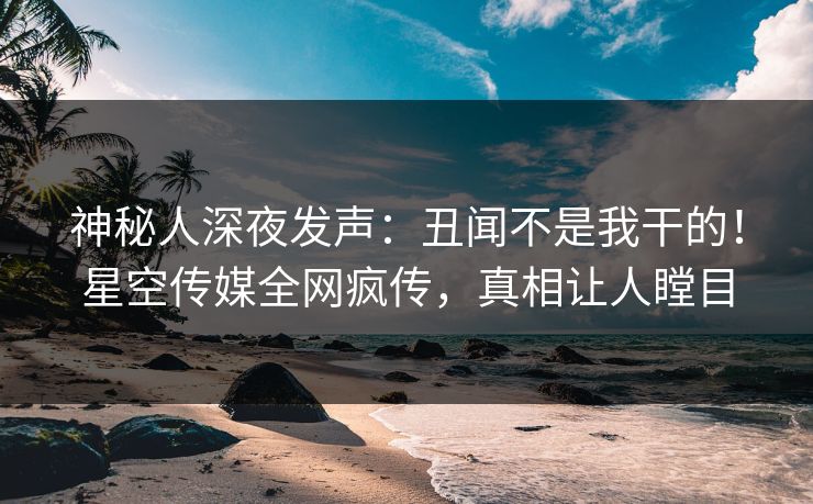 神秘人深夜发声：丑闻不是我干的！星空传媒全网疯传，真相让人瞠目