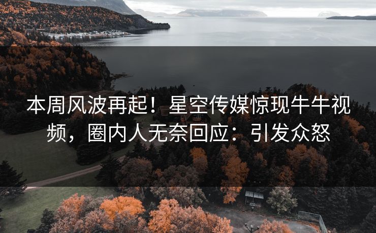 本周风波再起！星空传媒惊现牛牛视频，圈内人无奈回应：引发众怒