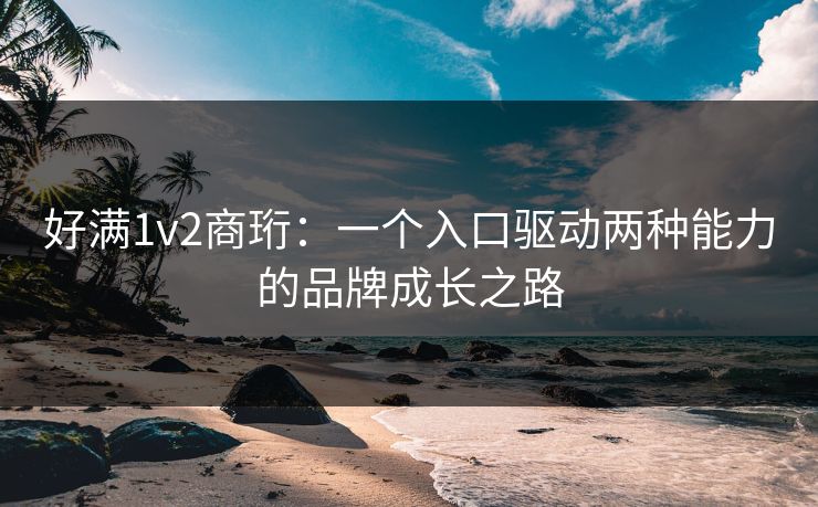 好满1v2商珩:一个入口驱动两种能力的品牌成长之路 好满1v2商珩:一个入口驱动两种能力的品牌成长之路